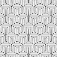 Geometric background cube design with lines vector