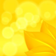 Autumn Background N197