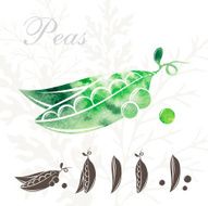 Peas icons set N2