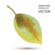 Abstract leaf watercolor hand painted background N2