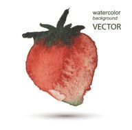 strawberry watercolor hand painted background