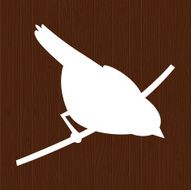 Bird looking down N2