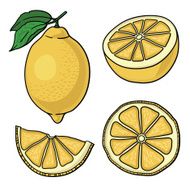 Isolated lemons Graphic stylized drawing