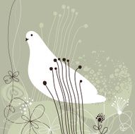 Background with white dove N2