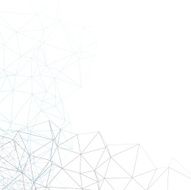 Network N29