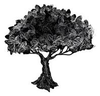 Very textured single tree N2