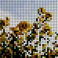 abstract colorful polka dots style floral pattern background N2