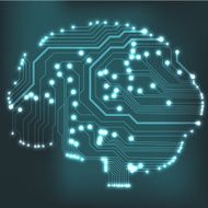 Circuit board computer brain Vector illustration N53