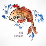 beautiful orange carp
