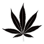 Black marijuana leaf on white background N2