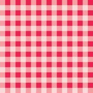 plaid pattern N15
