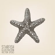 Vector sketch with hand drawn sea star