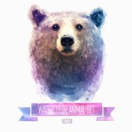 Vector set of watercolor illustrations Cute bear