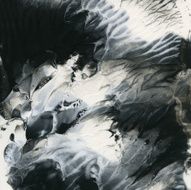Abstract black and white background template