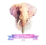 Vector set of watercolor illustrations Cute elephant