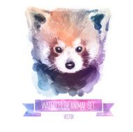 Vector set of watercolor illustrations Cute red panda N2