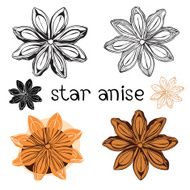 Star anise Isolated on a white background