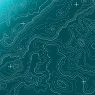 Topographic Map vector
