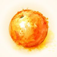 ripe orange