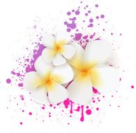 Grunge frangipani flowers N2