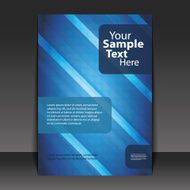 Flyer or Cover Design N92
