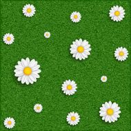 Background of grass and flowers Vector image