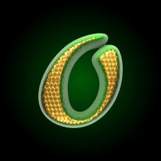 vector golden and green letter o N2