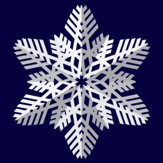 Snowflakes Vector illustration N14
