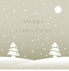 Christmas retro greeting card and background N2
