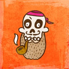 Pirate Skull on Grunge Background N2