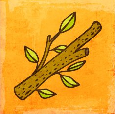 Tree Branch on Grunge Background N2