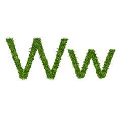 Isolated grass alphabet N18