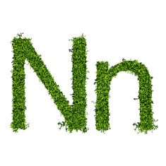 Isolated grass alphabet N19