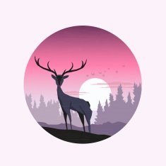 Pink Winter Sunset N2
