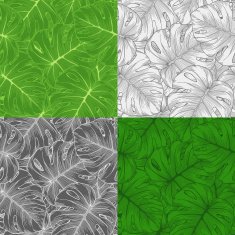 Set seamless backgrounds of palm leaf Monstera N2