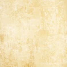 Grunge Background N1107