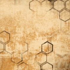 Grunge Background N1111