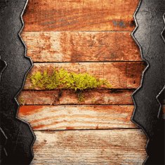 metal and wood background N501