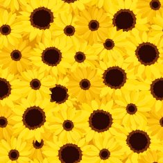 Seamless background with sunflowers and calendula Vector illustration