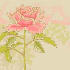Pink rose on toned background N2