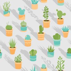 Succulents N3