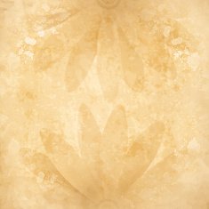 Grunge floral background N113