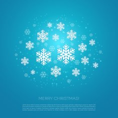 Merry Christmas greeting card with snowflakes N14
