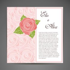 card N366