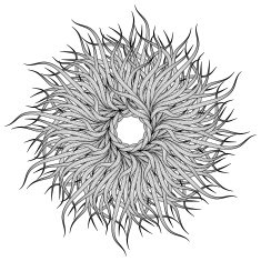Mandala N555