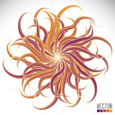 Mandala N556