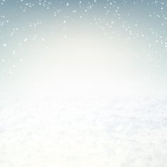 Snow environment N2