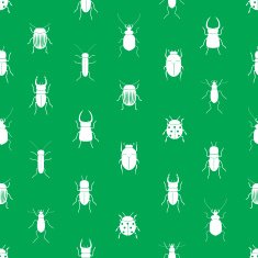 bugs and beetles simple seamless green pattern eps10
