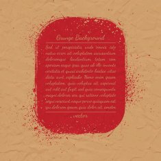 Vector grunge Background N11