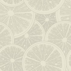 Citrus sketch N2